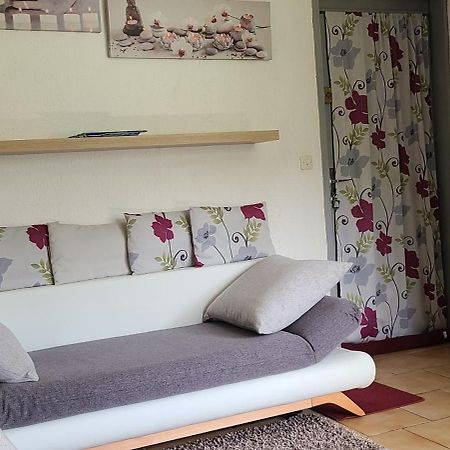 Studio Agreable Et Lumineux Виллар-де-Ланс Экстерьер фото