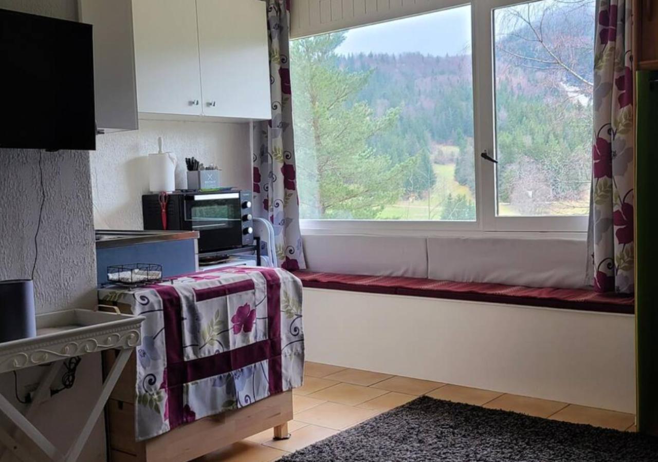 Studio Agreable Et Lumineux Виллар-де-Ланс Экстерьер фото