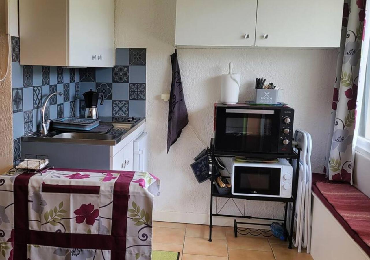 Studio Agreable Et Lumineux Виллар-де-Ланс Экстерьер фото