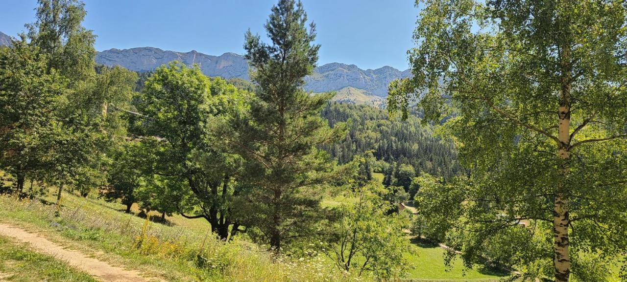Studio Agreable Et Lumineux Виллар-де-Ланс Экстерьер фото