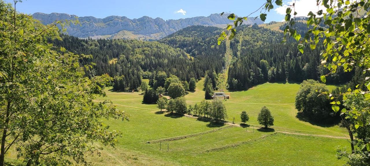 Studio Agreable Et Lumineux Виллар-де-Ланс Экстерьер фото